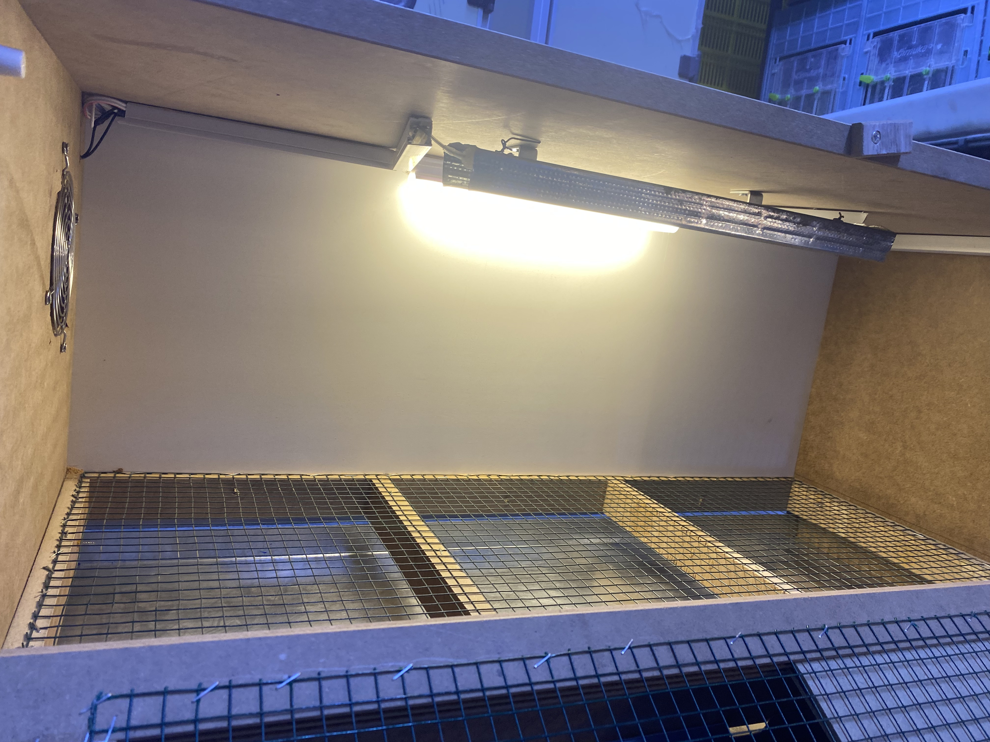 Civciv Büyütme Kafesi MDF Modeli Tam Otomatik